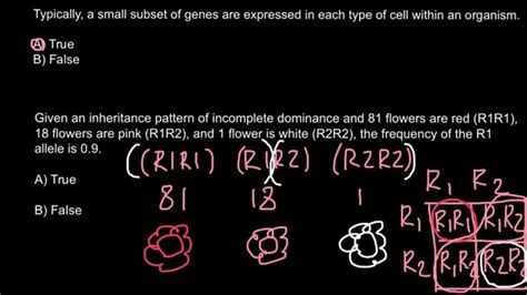 How To Calculate Allele Frequency Youtube