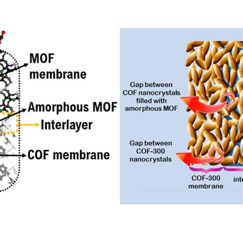 Schematic Representation Of Mofcof Composite Membrane The Amorphous