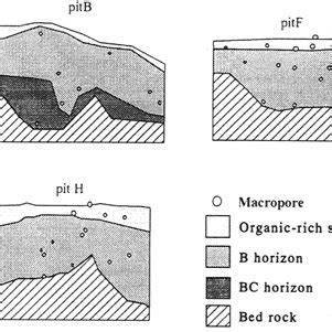 Some examples of schematics of soil profiles. | Download Scientific Diagram