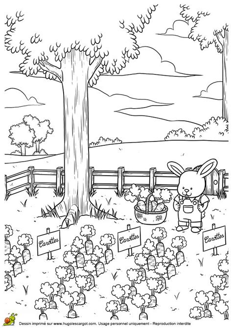 Les 110 Meilleures Images Du Tableau Coloriage Du Potager Sur Pinterest