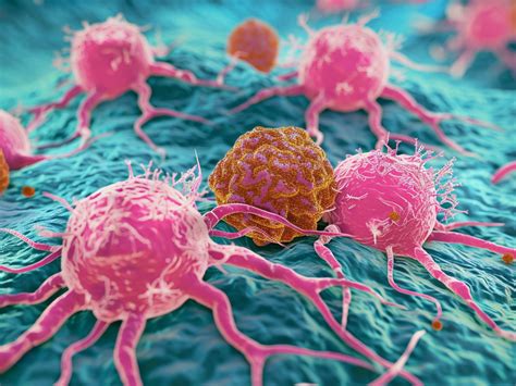 Hijacking Tumour Cells Reprogramme The Immune System New Approaches