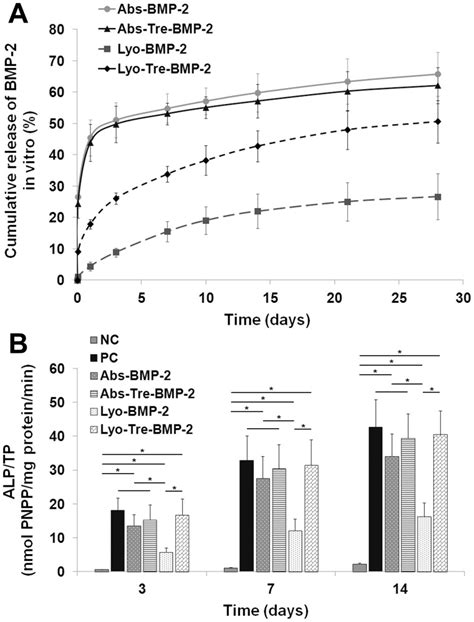 A In Vitro Release Profiles Of BMP 2 And B ALP Activity Assay Of