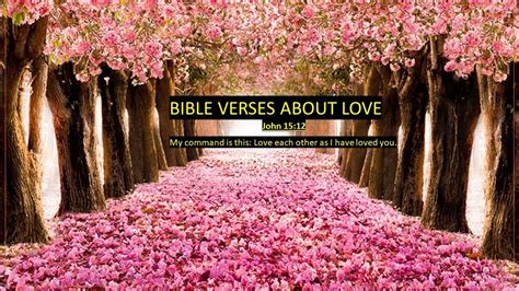 Prayer Bible Verses About Love John 15 12 My Command Is This Love