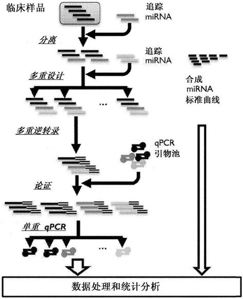 用于诊断胃癌的mirna生物标志物的制作方法