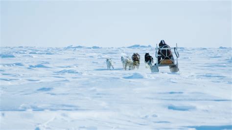 Eskimo Inuit Stock Video Footage - 4K and HD Video Clips | Shutterstock