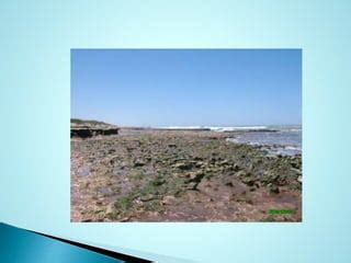 Erosion Costera PPT