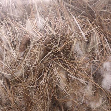 Coco Sisal Jute Coton Kg Sisal Fibre