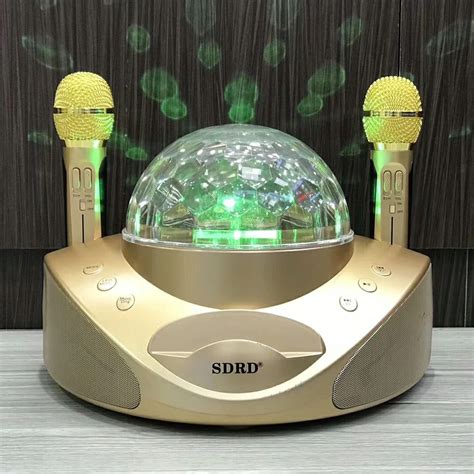 SDRD SD-308 LED Light Dual 2 Wireless Microphone Portable 3D Bluetooth ...