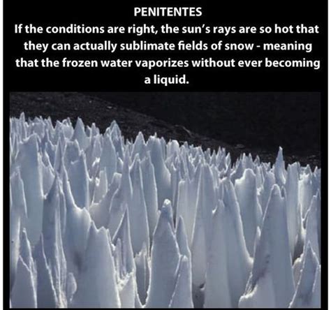 Nature Is Weird: Fascinating Natural Phenomena!