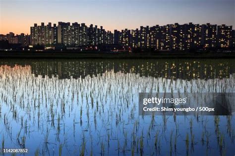 58 Cheonan City Stock Photos, High-Res Pictures, and Images - Getty Images