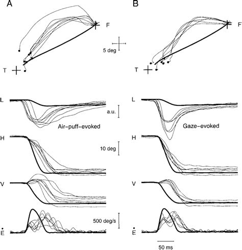 Comparison Of Perturbed Saccades That Were Accompanied By Download