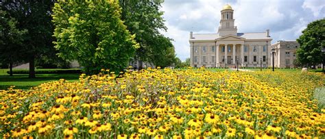 Cost And Aid The University Of Iowa