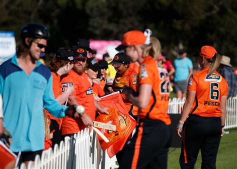 Scorchers Supporter Wa Cricket Membership