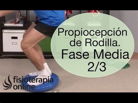 Ejercicios De Propiocepci N O Propioceptivos De Rodilla Nivel