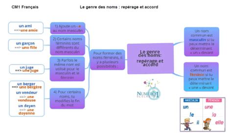 Le Genre Des Noms Repérage Et Accord Leçon Et Exercices Cm1