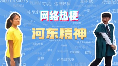 【网梗课代表】河东精神是什么梗？ 网梗课代表 网梗课代表 哔哩哔哩视频