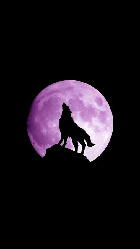 wolf, moon, night | Wolf painting, Wolf drawing, Wolf artwork