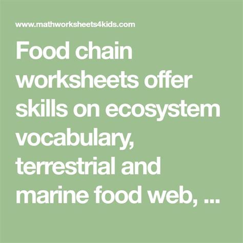 Food chain worksheets offer skills on ecosystem vocabulary, terrestrial ...