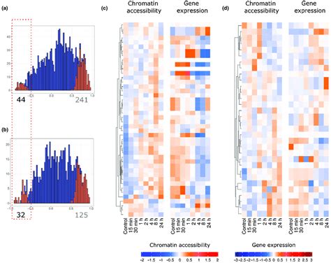 Chromatin Accessibility And Gene Expression Profiles Of All