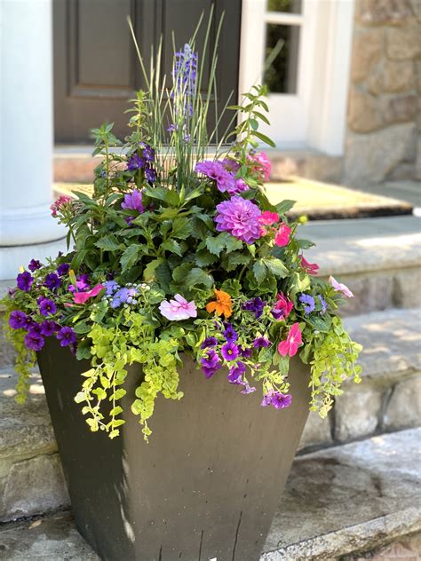 Spring Cottage Flower Container Container Flowers Container Garden