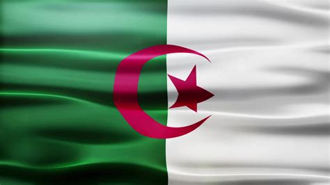 Algeria Flag Stock Video Footage for Free Download