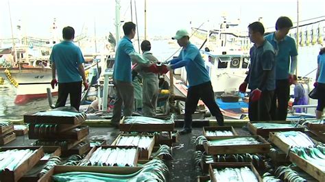 뉴스라이더 후쿠시마 오염수 방류에 제주 비상횟집 간판 내려요 네이트 뉴스