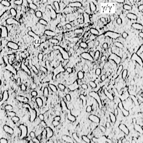 Optical Micrograph Showing The Typical As Cast Microstructure Of The Download Scientific