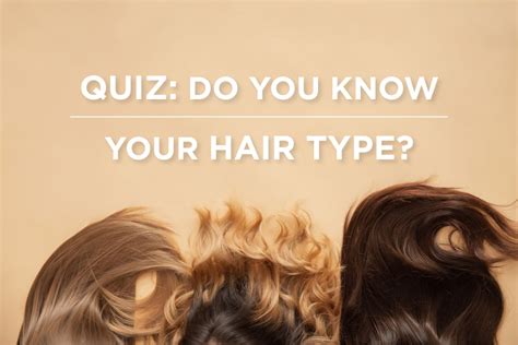 Hairatin Quiz Whats My Hair Type And How To Take Care Of It