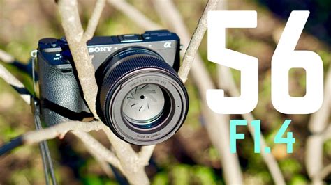 Sigma 56mm F1 4 Lens Review Its Perfect Youtube