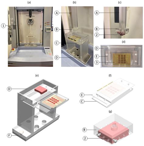 Experimental Apparatus Employed During In Vitro Tests A Overall