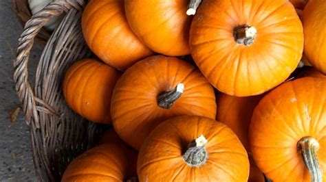 Calabaza todas las propiedades y beneficios de la reina del otoño