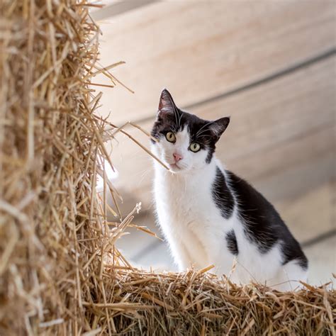 Onze Boerderij Erve Zoklein