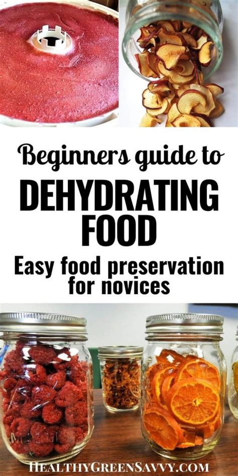 Dehydrating Food 101 ~ Preservation for Novices - HealthyGreenSavvy