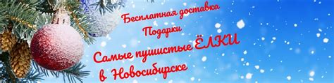 Искусственные ёлки | Новосибирск | Искусственные Елки в Новосибирске ...