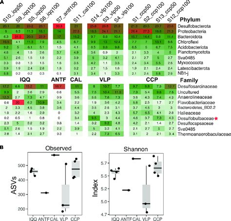 A Abundance Of The Ten Most Abundant Phyla And Families The Numbers