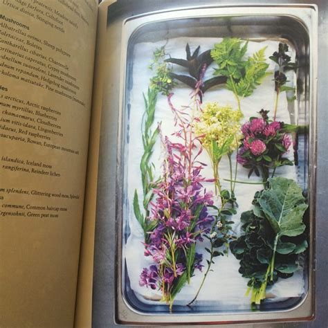 Wild Plants From The Fäviken Cookbook Faviken Magnusnilsson Foraging
