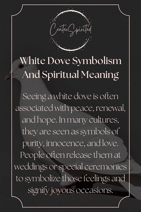 The White Dove Has Been A Symbol Of Peace And Tranquility For Centuries