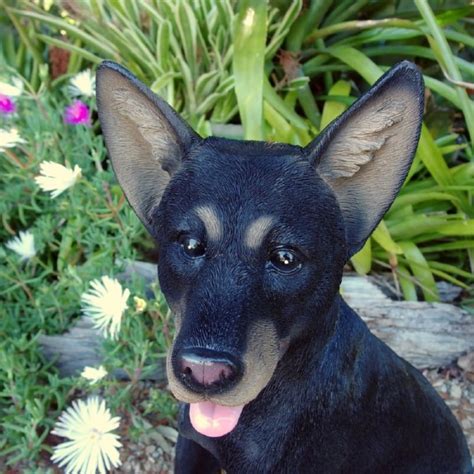 Kelpie Cattle Dog Sitting Statue Garden Sculpture 47 Cm Cam And Debs