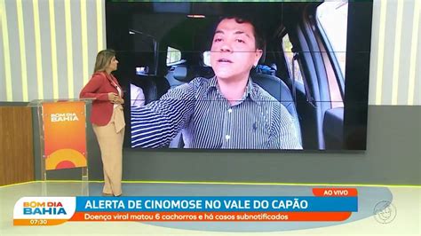 Cinomose mata 6 cachorros no Vale do Capão Vacina é essencial para