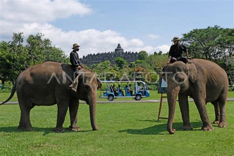 SIMULASI PENERAPAN STANDAR NORMAL BARU BOROBUDUR ANTARA Foto