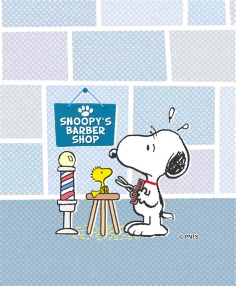 Pin By Karen On Woodstock Snoopy Snoopy Cartoon Snoopy Pictures