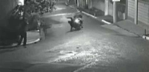 V Deo Mulher Reage A Tentativa De Assalto E Mata Dois Criminosos Em Moto