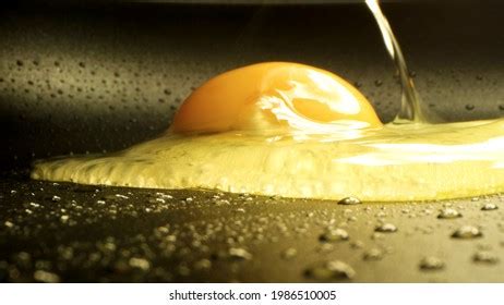 Beautiful Healthy Food Zoomed Closeup Stock Photo 1986510005 | Shutterstock