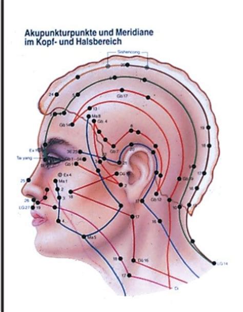 Facial Meridian Massage Video Acupuncture Charts Hand Anatomy