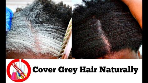 How To Turn White Or Grey Hair Into Black Naturally With No Chemicals