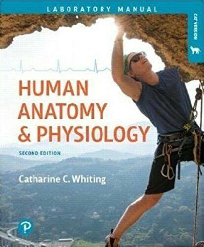 Human Anatomy And Physiology Laboratory Manual Making Connections