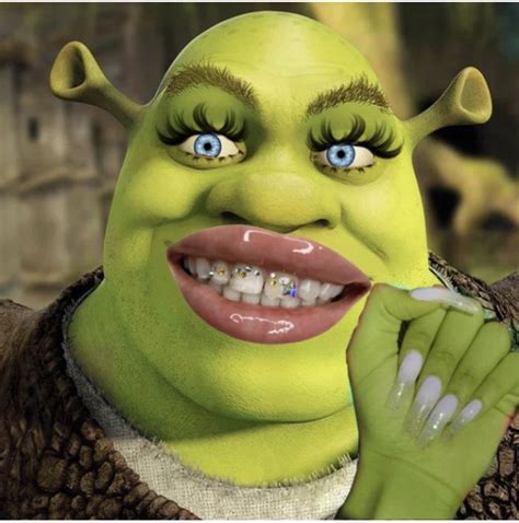 Pin By Shrek Forever On Shrek In Shrek Funny Funny Pix Very