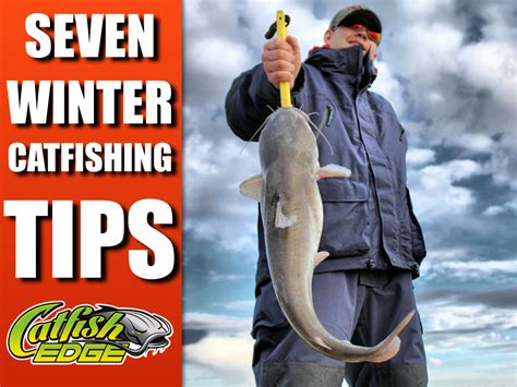 Seven Winter Catfishing Tips To Catch More Catfish