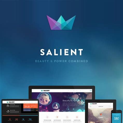 Salient Theme Gpl V Responsive Multi Purpose Websites Royal Gpl