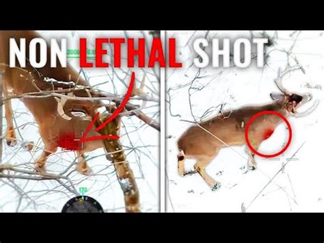 Big Buck Non Lethal Thermal Drone Deer Recovery Youtube